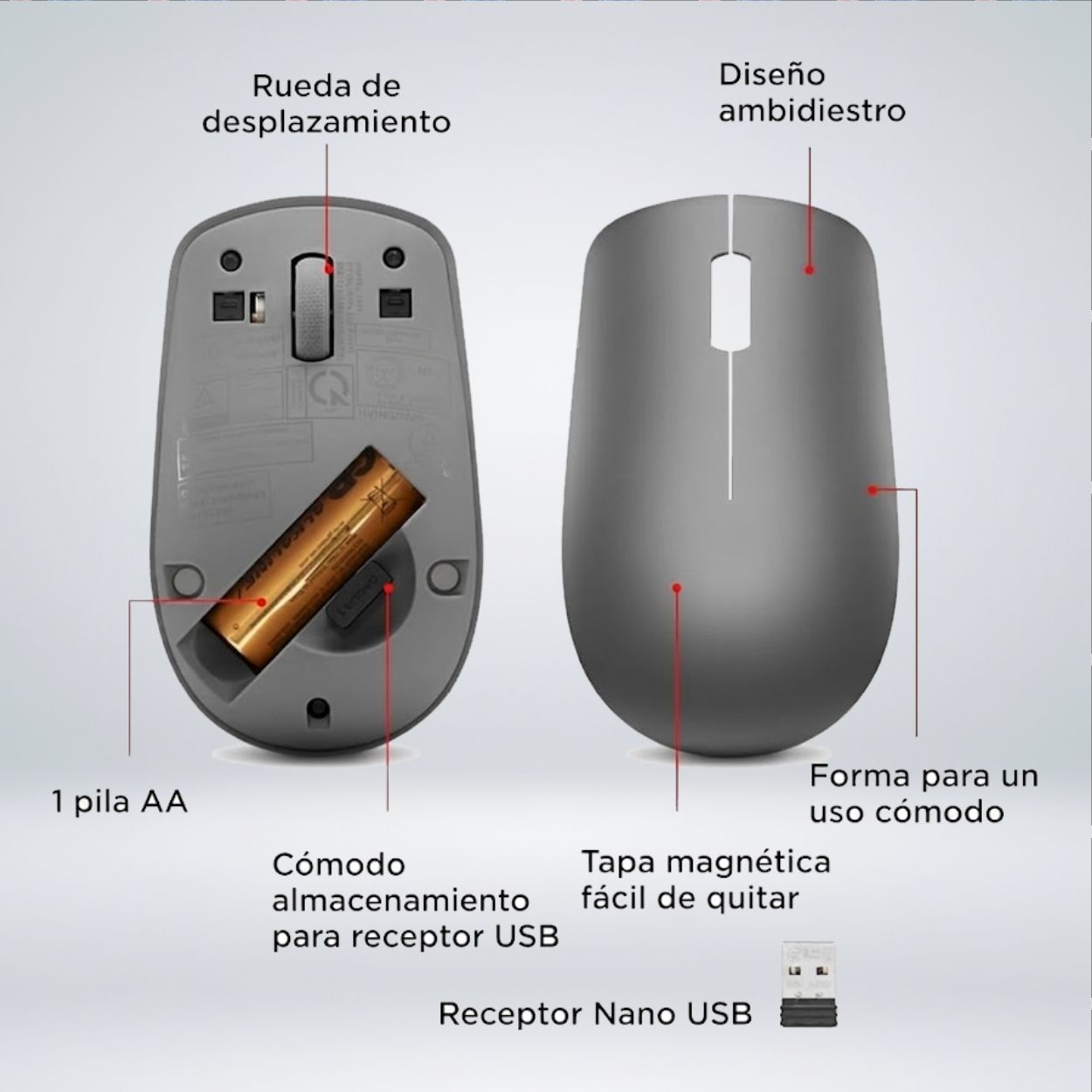 1MOUSE12