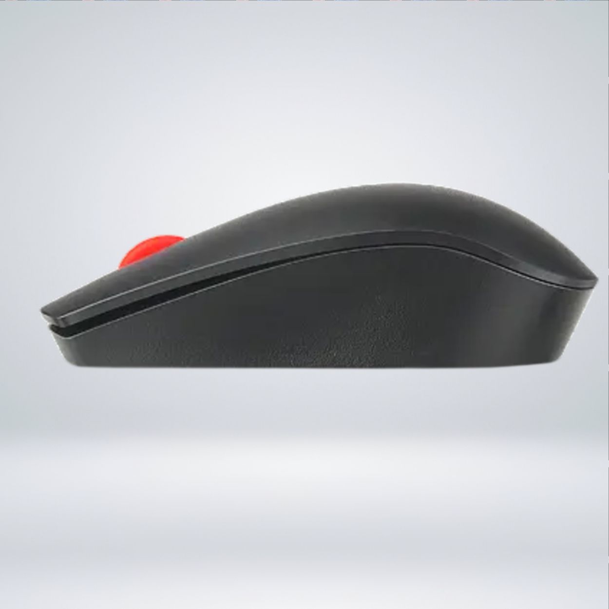MOUSE22
