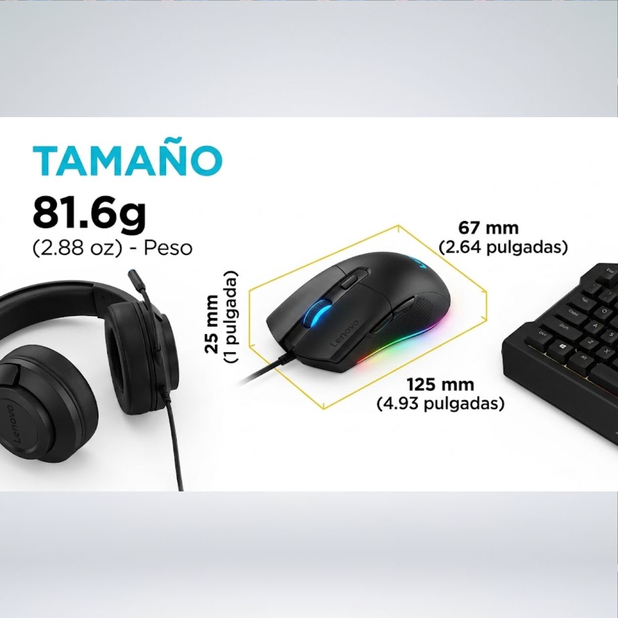 MOUSE3