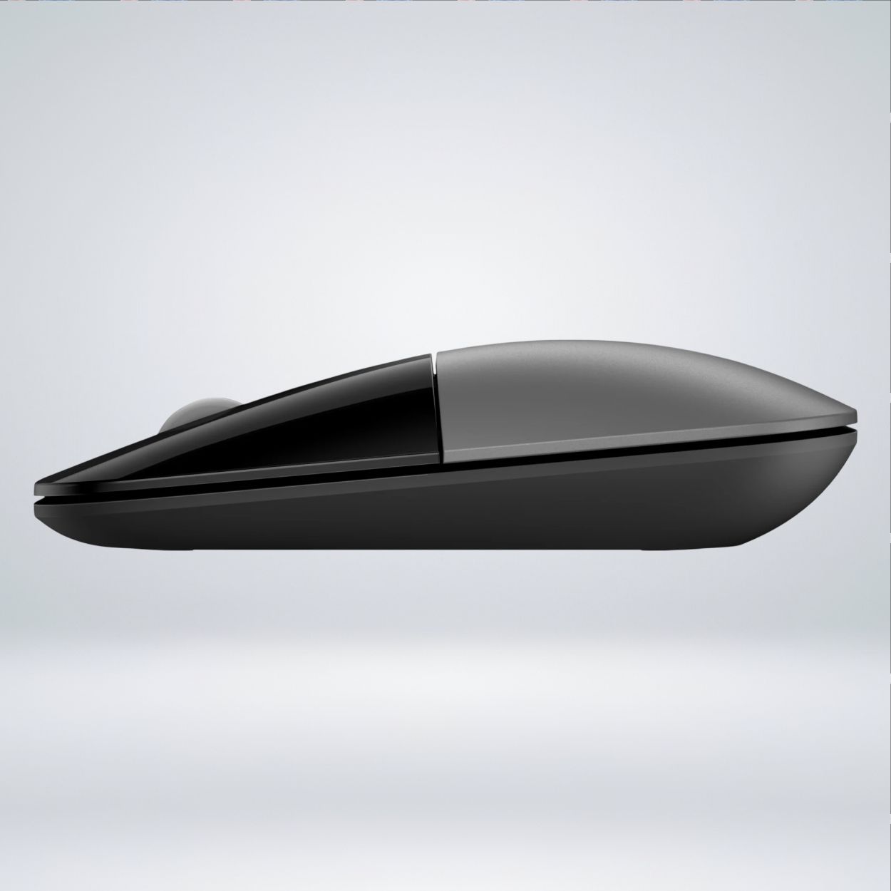 mouse21